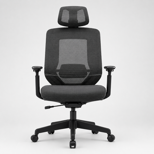 ErgoMesh Pro Office Chair