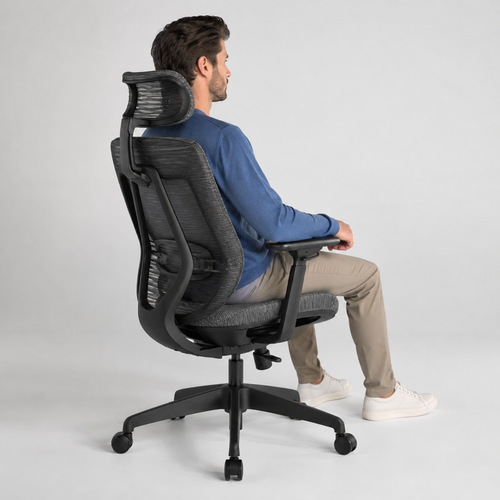 ErgoMesh Pro Office Chair