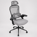 ErgoMesh Comfort Office Chair